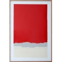 Papiers Déchirés Rouge et Gris