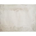 Micro abstract white 2