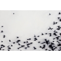 13820 Flight