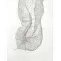Breathing Space