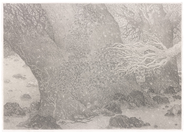 Paysages inconnus I