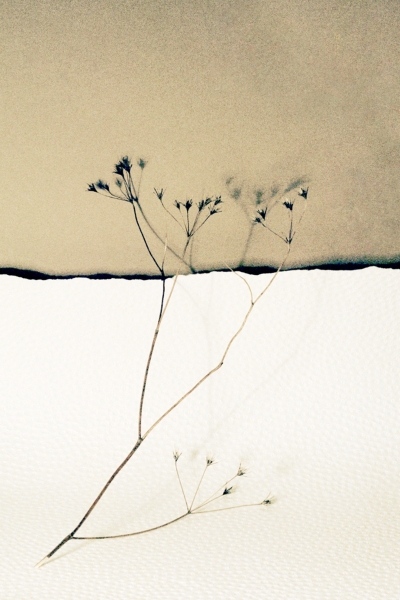 horizons 10