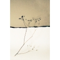 horizons 10