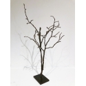 L'Homme Arbre IV