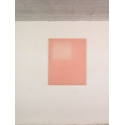 Composition Faux pink