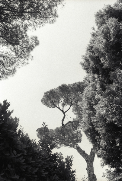 Fragments N°9