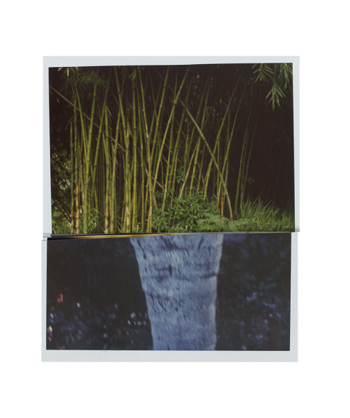 Reflet 7