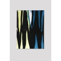 PP6