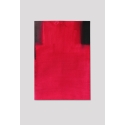 PP8