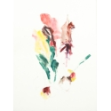 Fleurs milieux XI