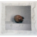 The Pomegranate 2