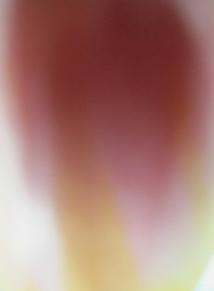Photodiaprure V