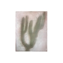 Saguaro