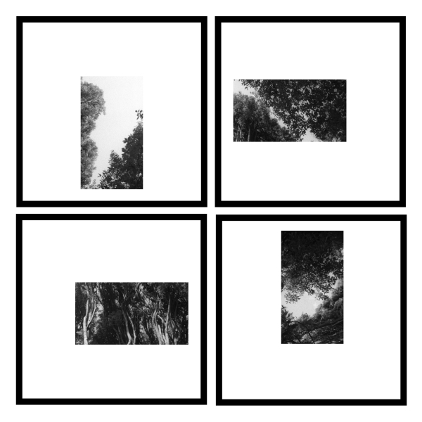 fragments 2a 