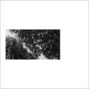fragments 2a 