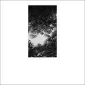 fragments 2a 
