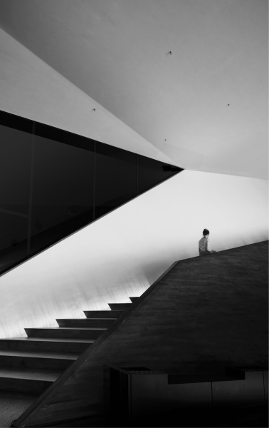 Paseos 8 - (small format)