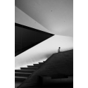 Paseos 8 - (small format)