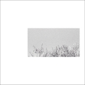 fragments 2a 