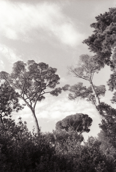 Fragments N°6