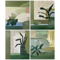 Herbarium