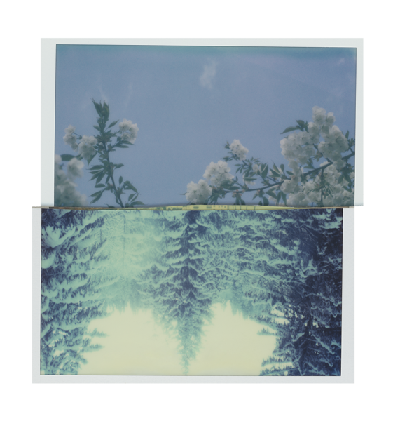 Reflet 22