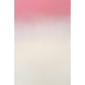 Venus Atmosphere 47