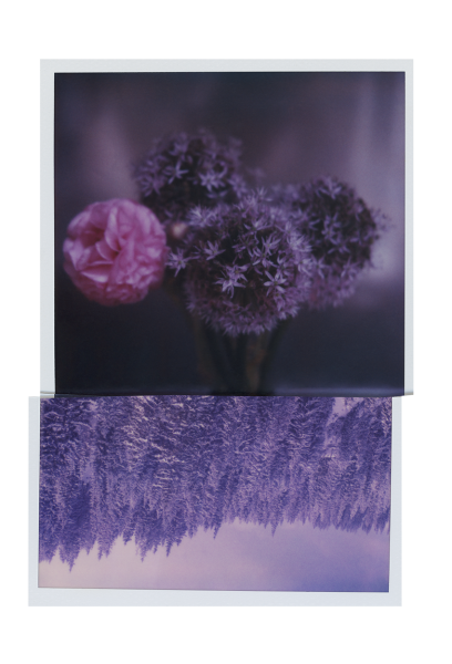 Reflet 48