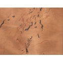Untitled 10