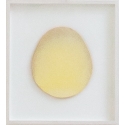 pSanjo 35