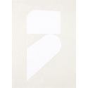 Papier 2490