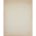 Pink stripe on white 3