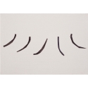 Cils