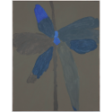 Bloom 08