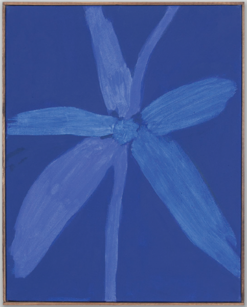 Bloom 13