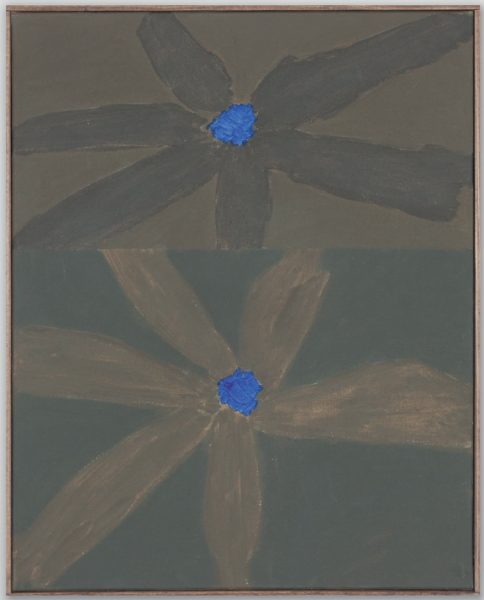 Bloom 14