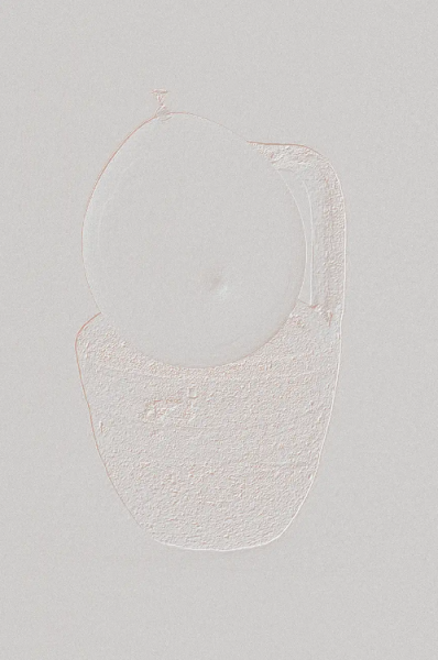 Impression 7