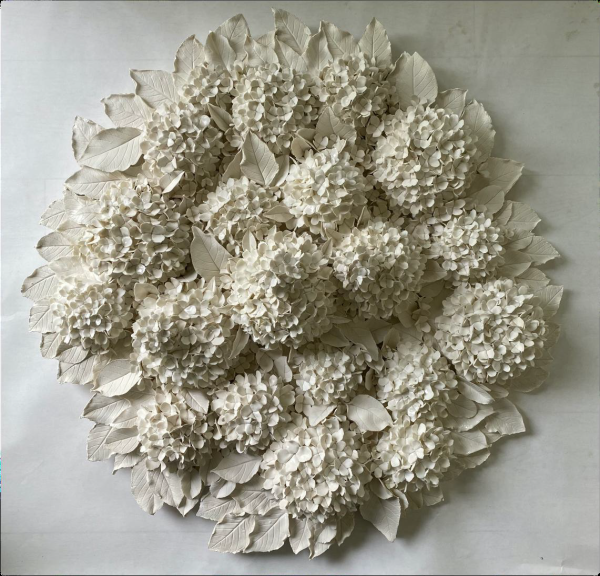 Hortensias d'été