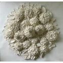 Hortensias d'été