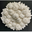 Hortensias d'été