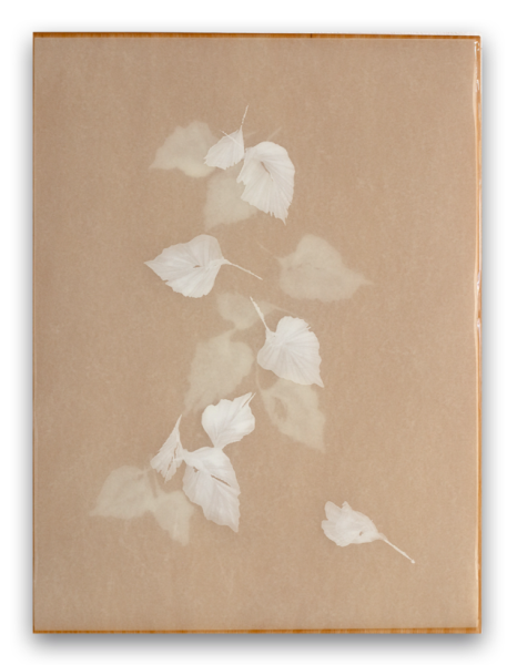 Poem R2456