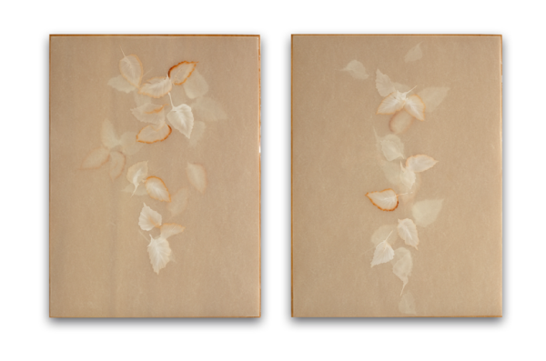 Poem R2503 & R2504