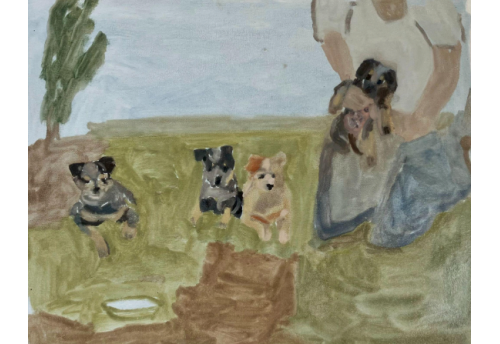 Baby blue heelers (Casey's litter)'