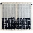 Painting Delphine de Luppe on Zeuxis