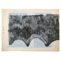 Painting Delphine de Luppe Zeuxis