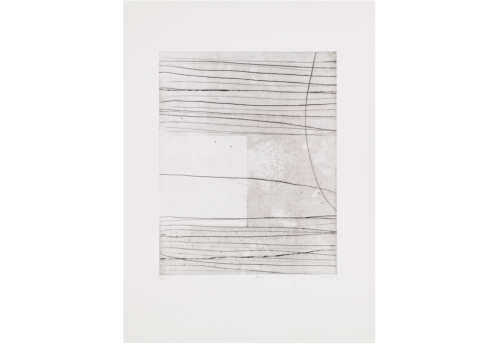 N17 Oeuvre sur papier Renaud Allirand Zeuxis
